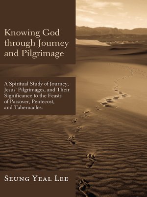 cover image of Knowing God through Journey and Pilgrimage